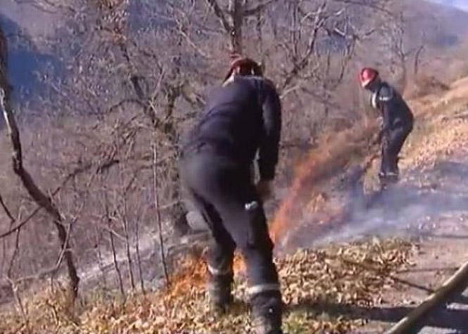 Ariège : 900 hectares de végétation sont partis en fumée