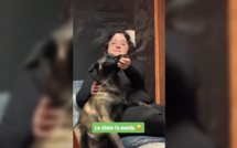 Morgane Makeup maltraite un chien sur une vidéo Tiktok, elle répond aux accusations