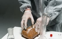 Pays-Bas : un laboratoire clandestin de drogues de synthèse découvert en plein quartier résidentiel de La Haye