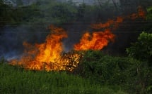 Incendies en France : près de 98 000 hectares partis en fumée depuis janvier, un bilan jamais atteint