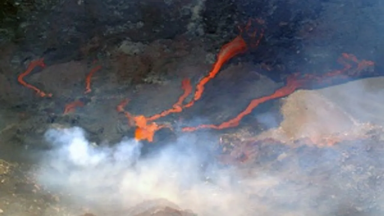 1159041-1493584