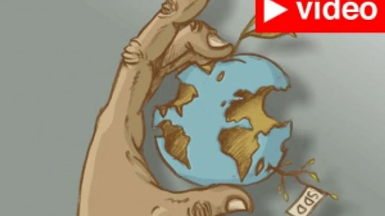 1305855-1717295