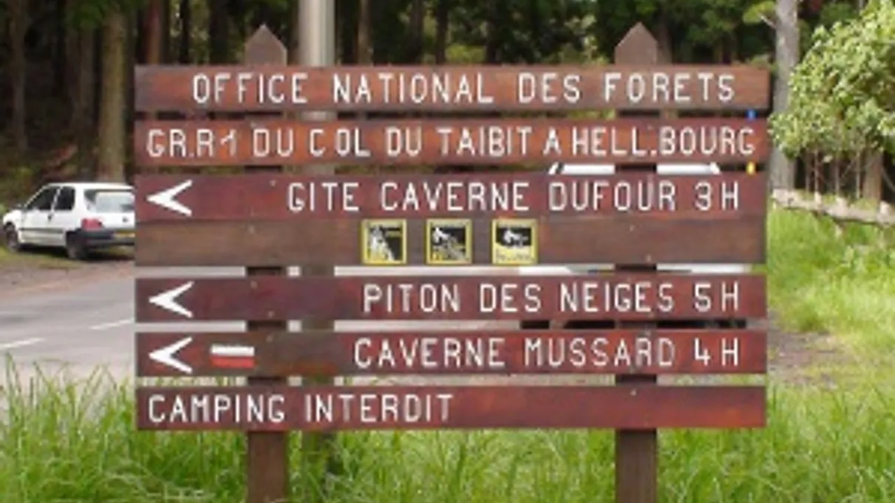 1355399-1790204