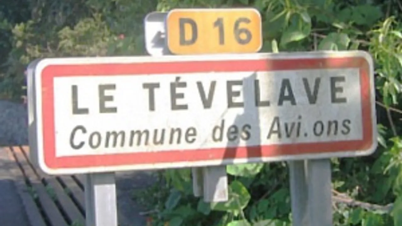 1365977-1804348