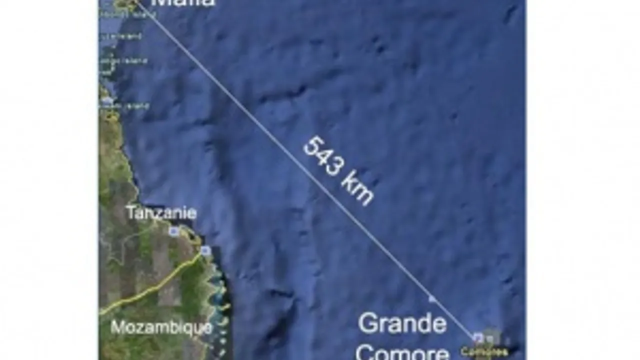 1474713-1963662