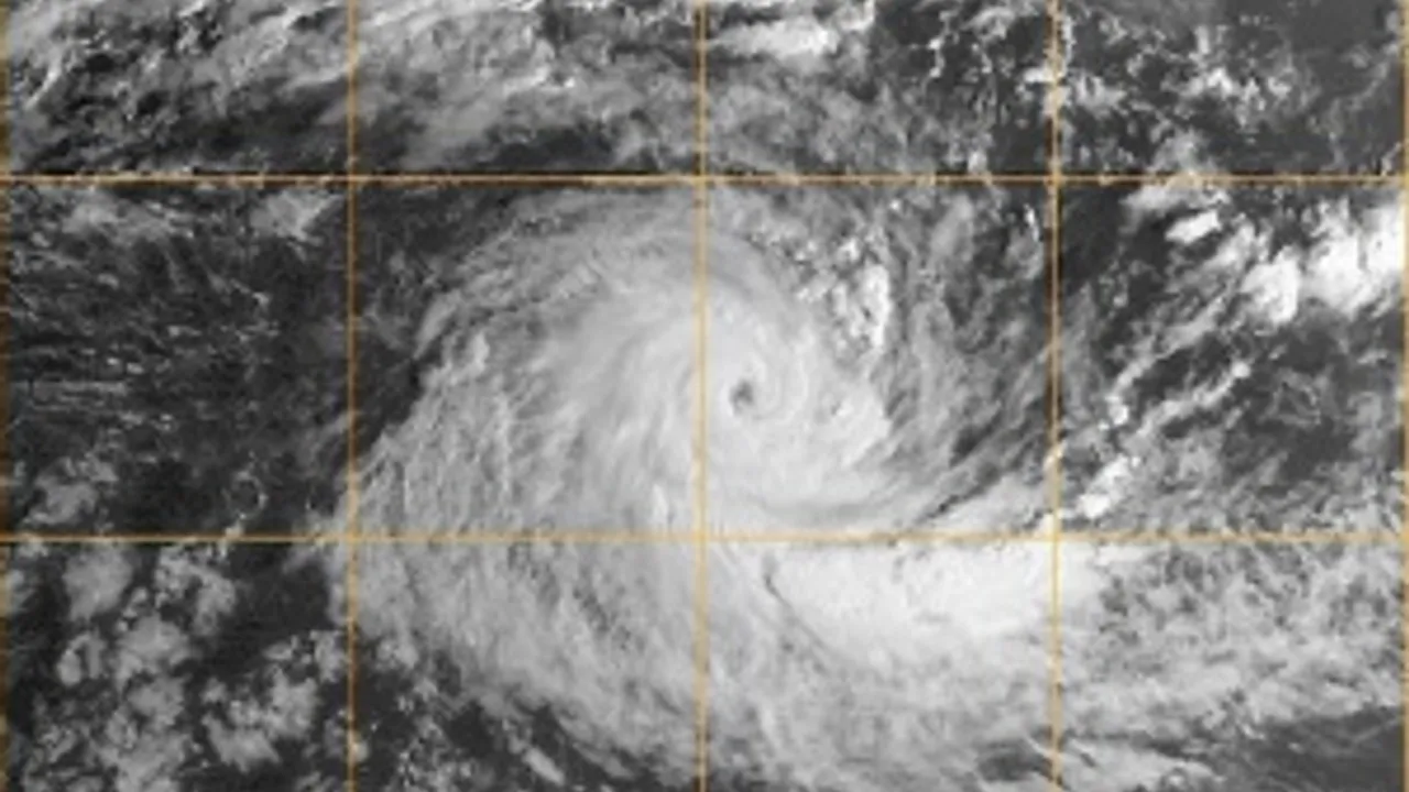 1706202-2306735