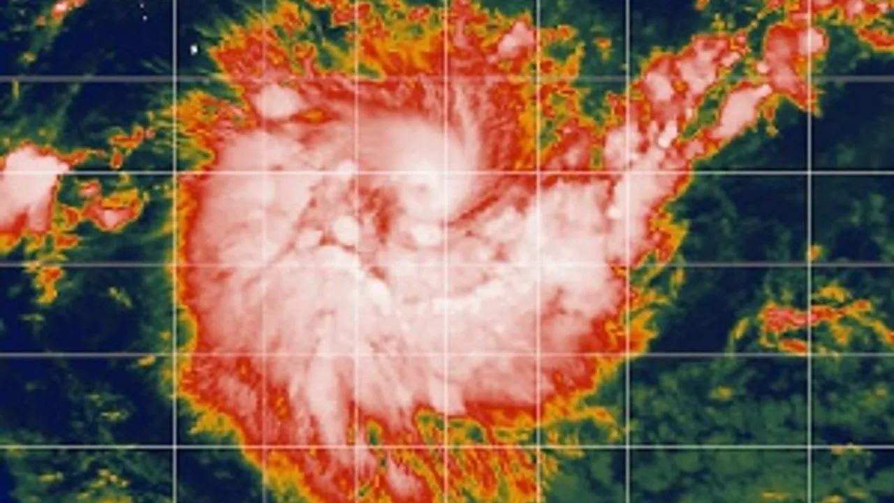 1751680-2376356