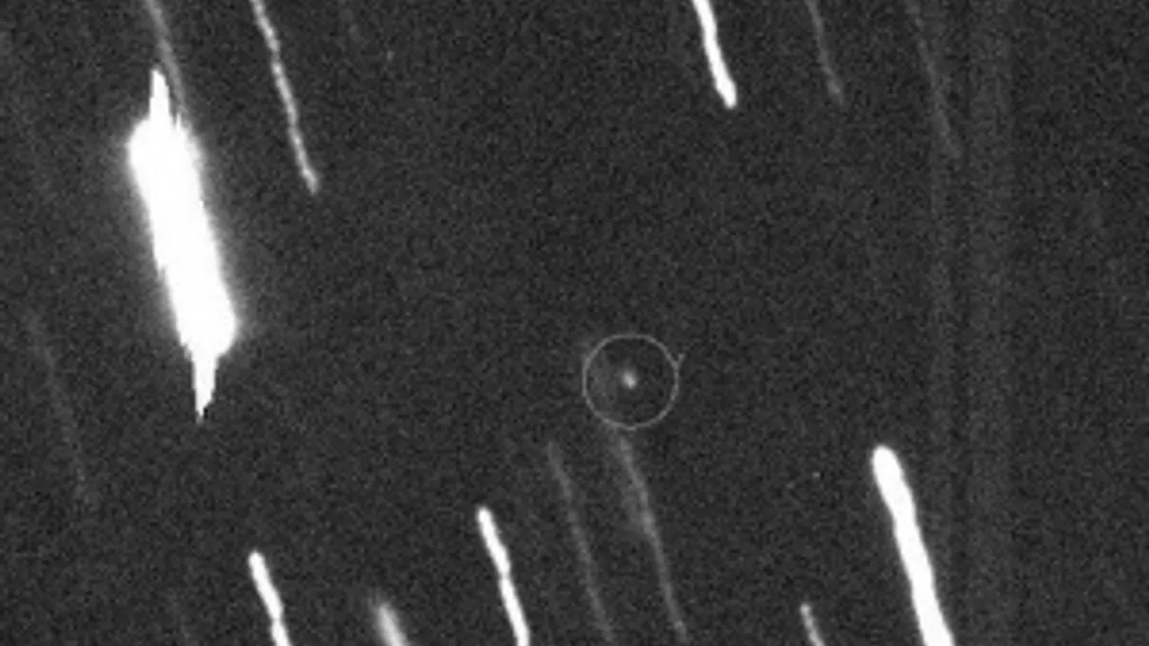 1795530-2443456