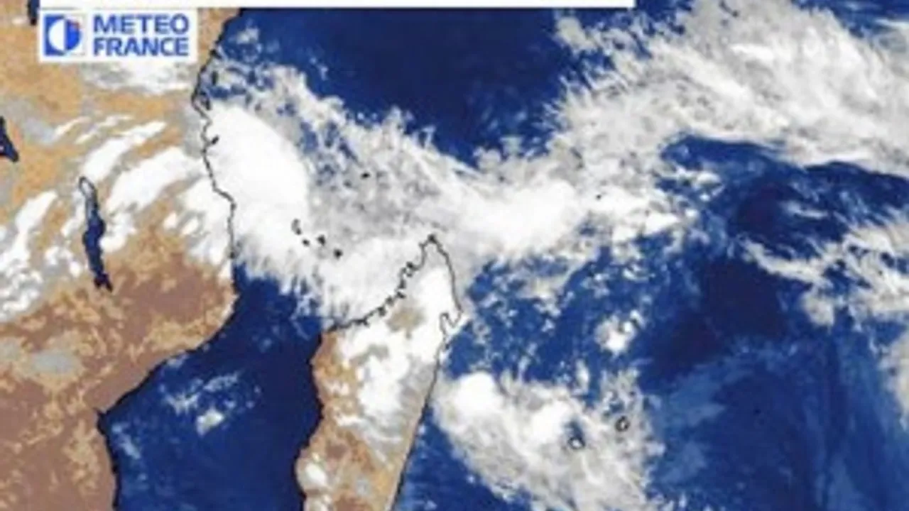 1806497-2460489