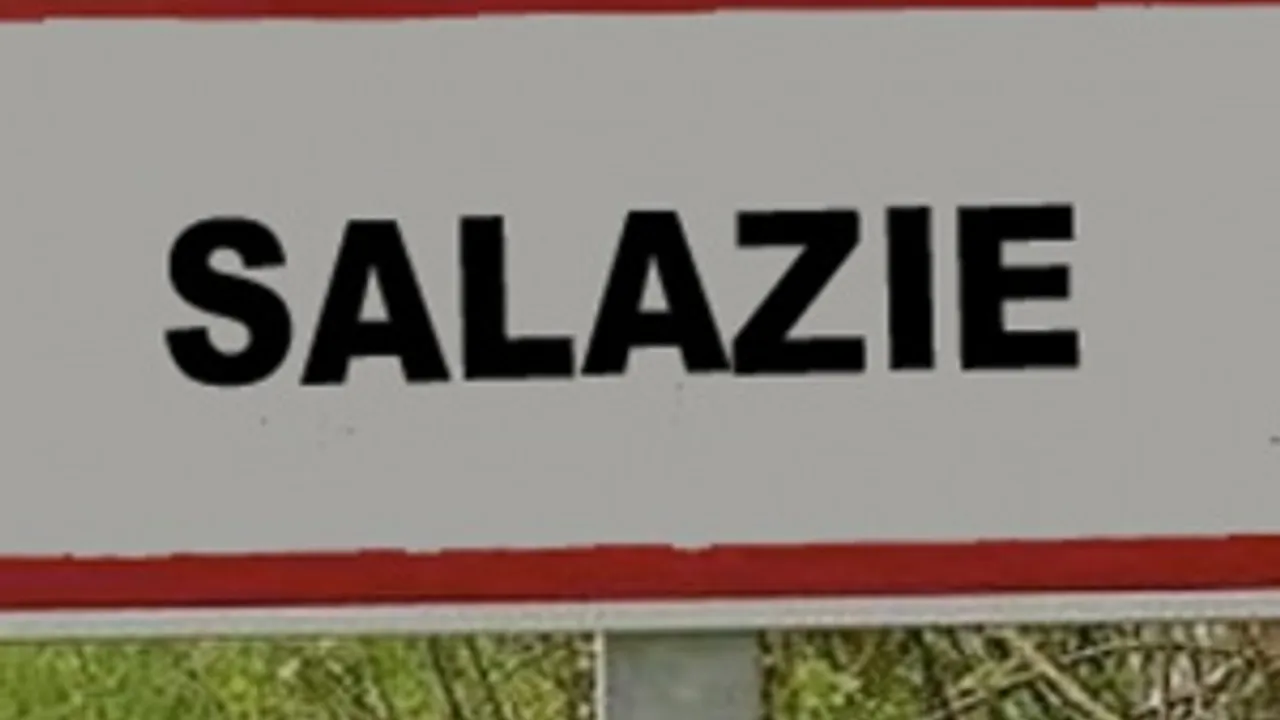 1956833-2693204
