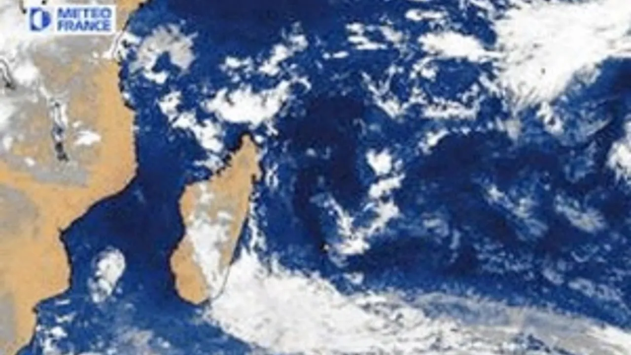 1960232-2698580