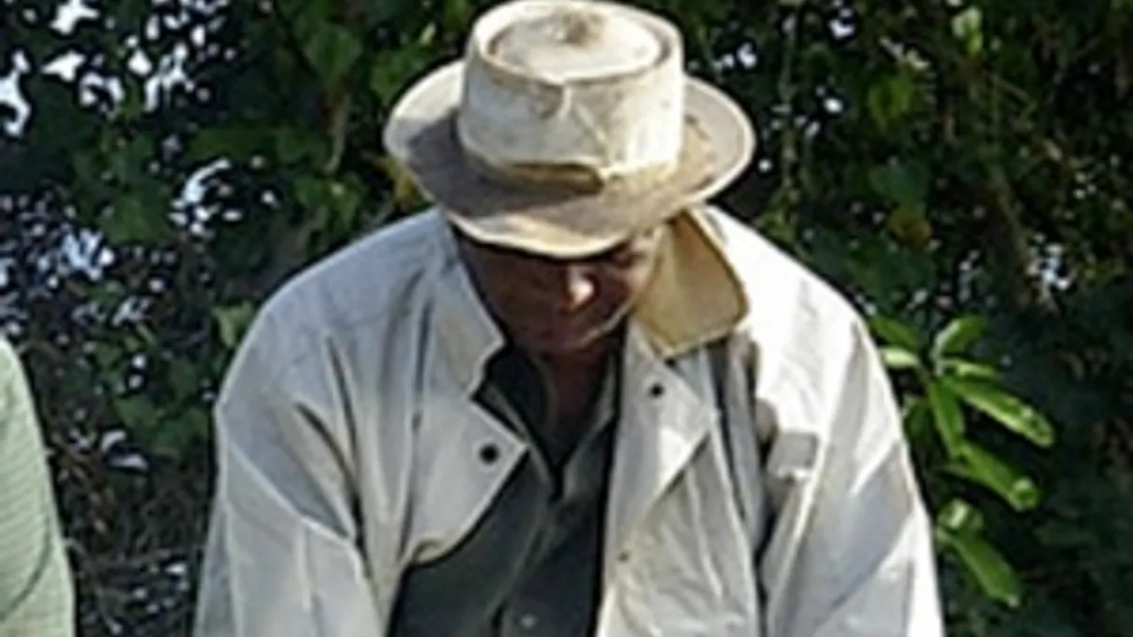 2080076-2887734
