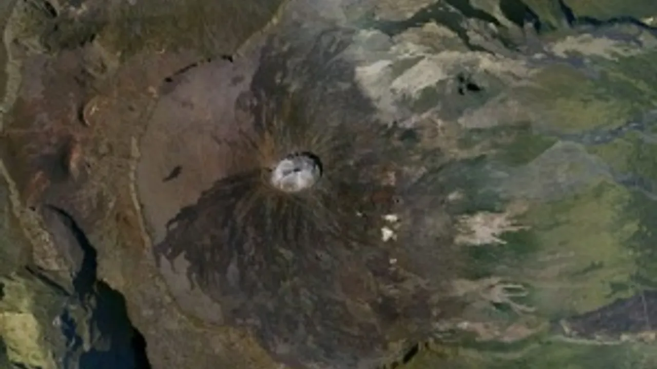 2407168-3373334