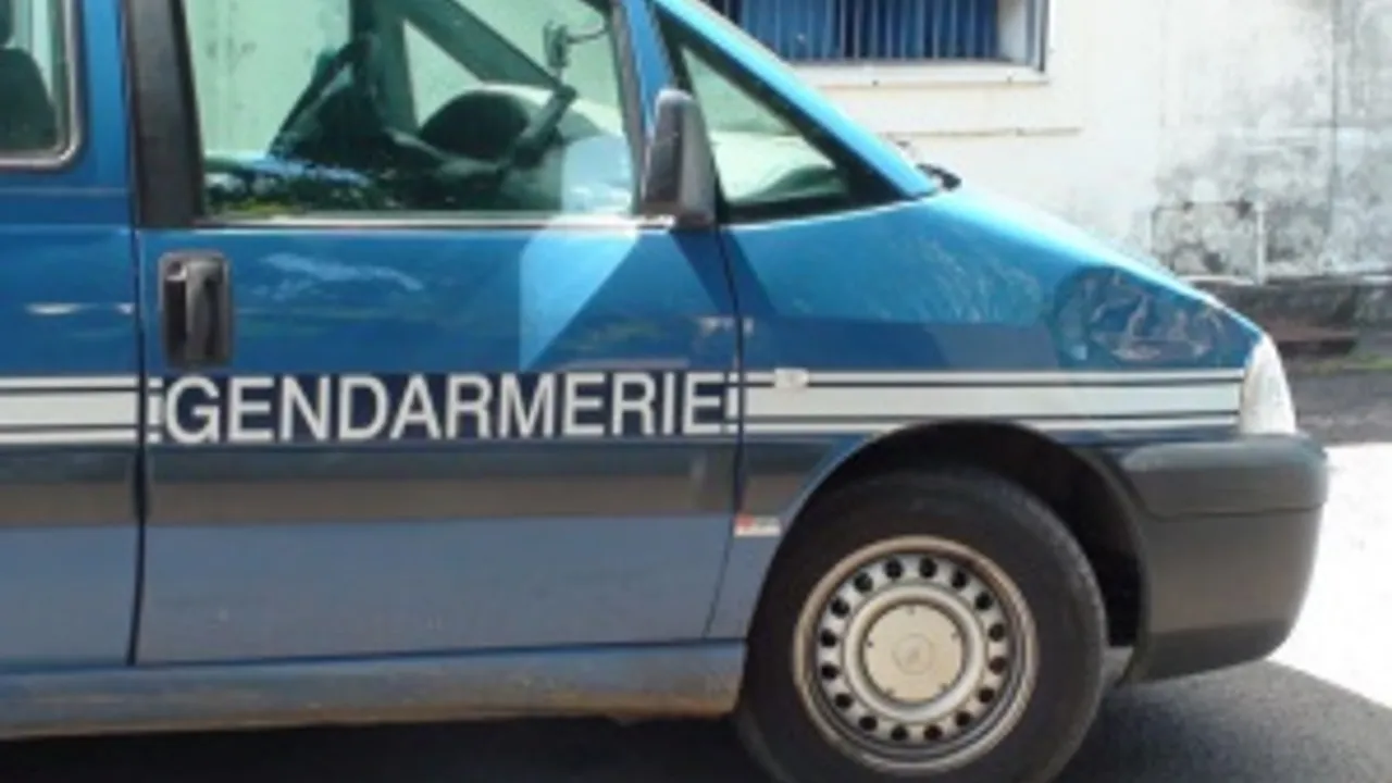 3145376-4494609