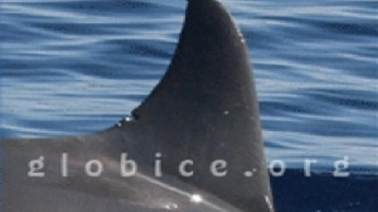 3428629-4933341