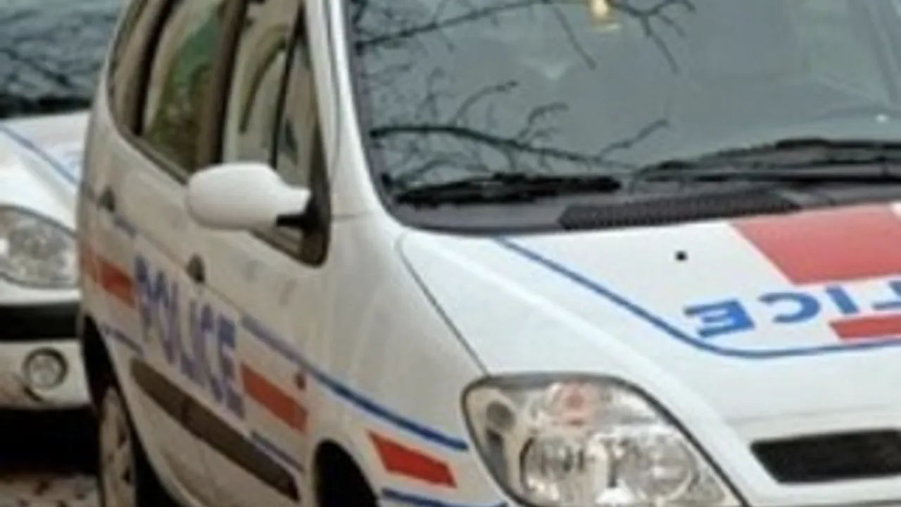 3993807-6054248