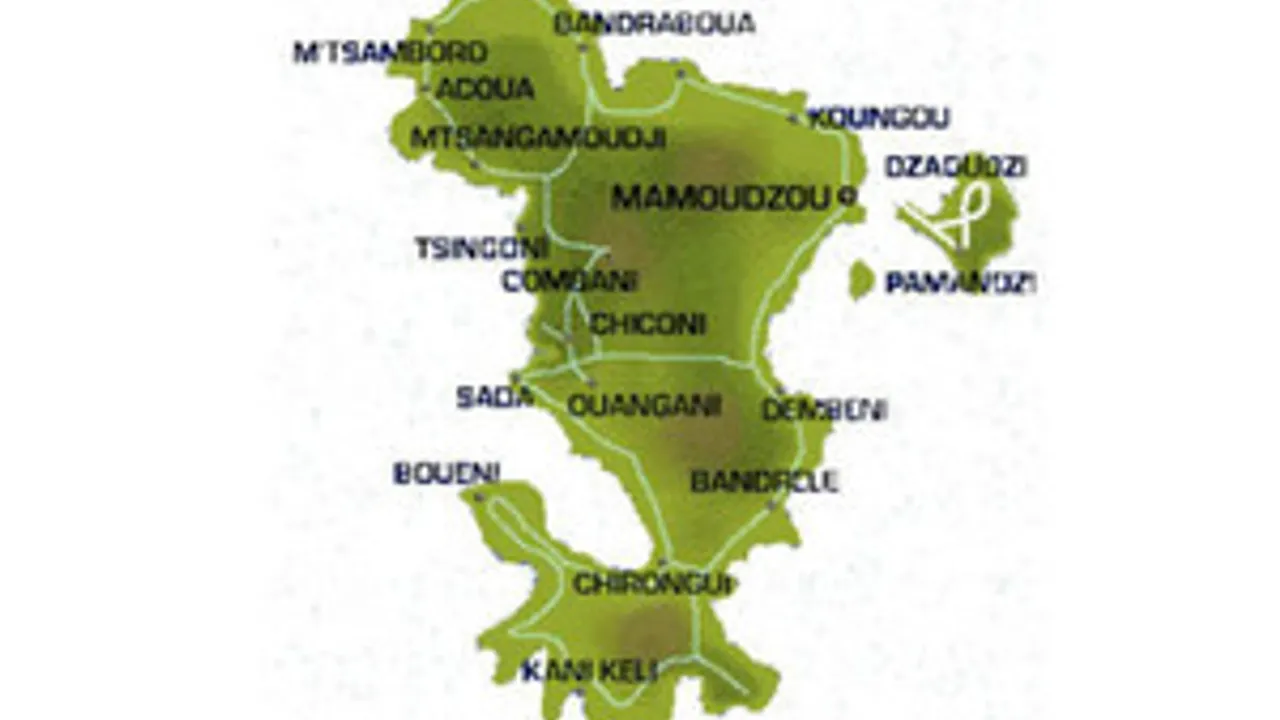 4002446-6070277