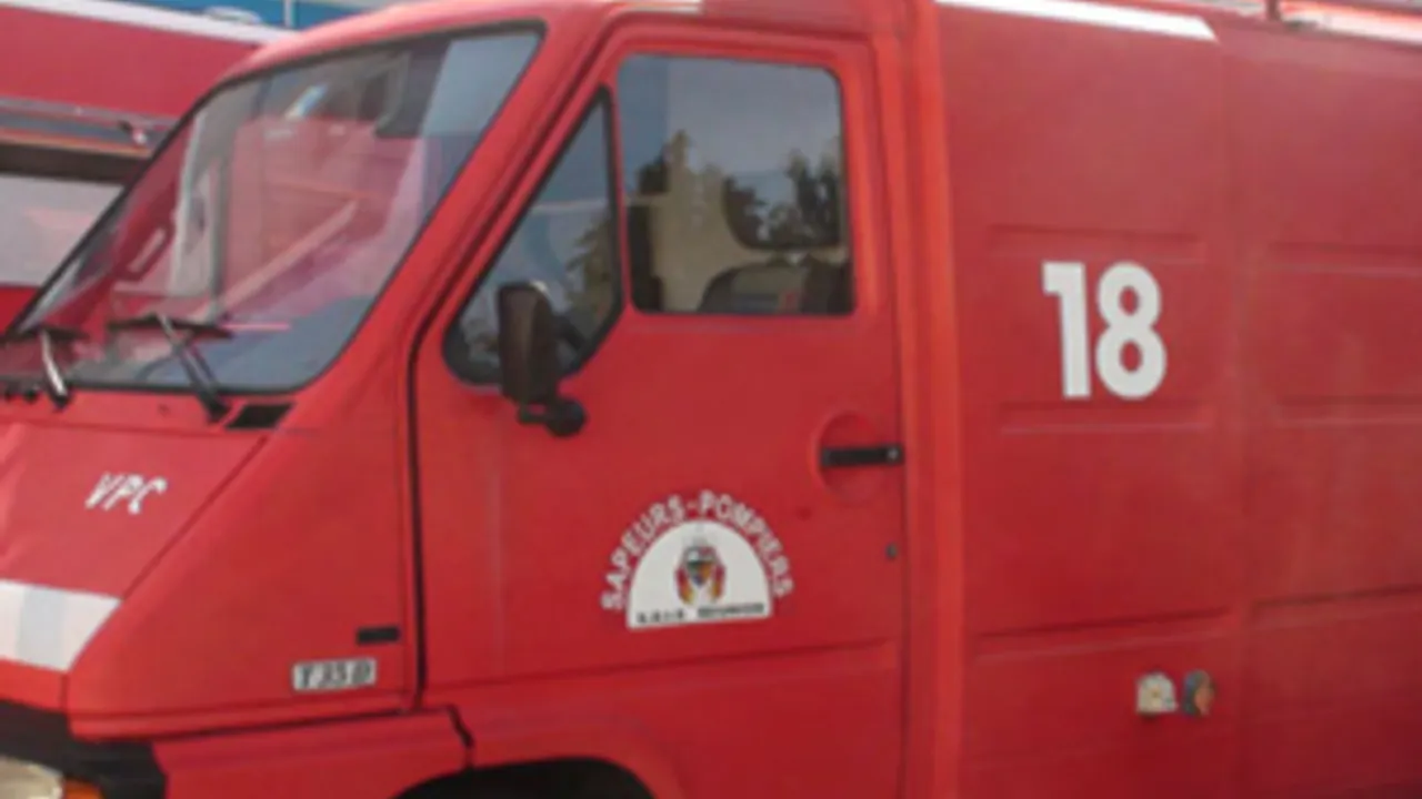 4585667-6866522