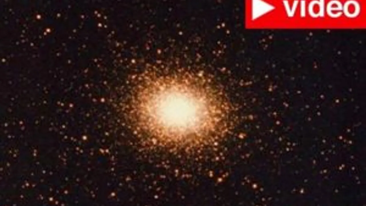 4600575-6888040