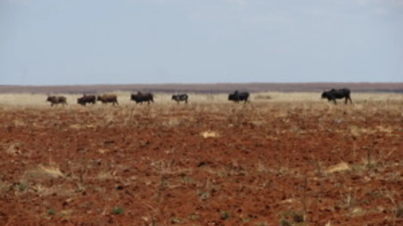 4986809-7446510