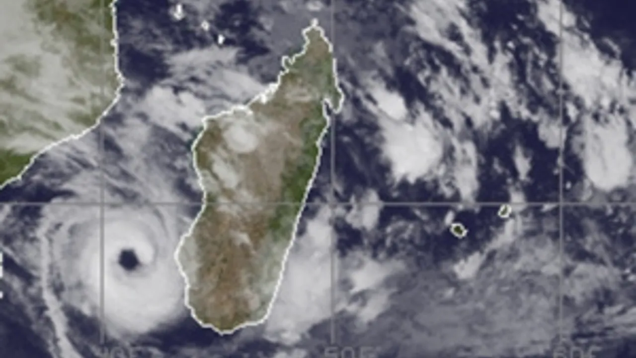 5250164-7835089