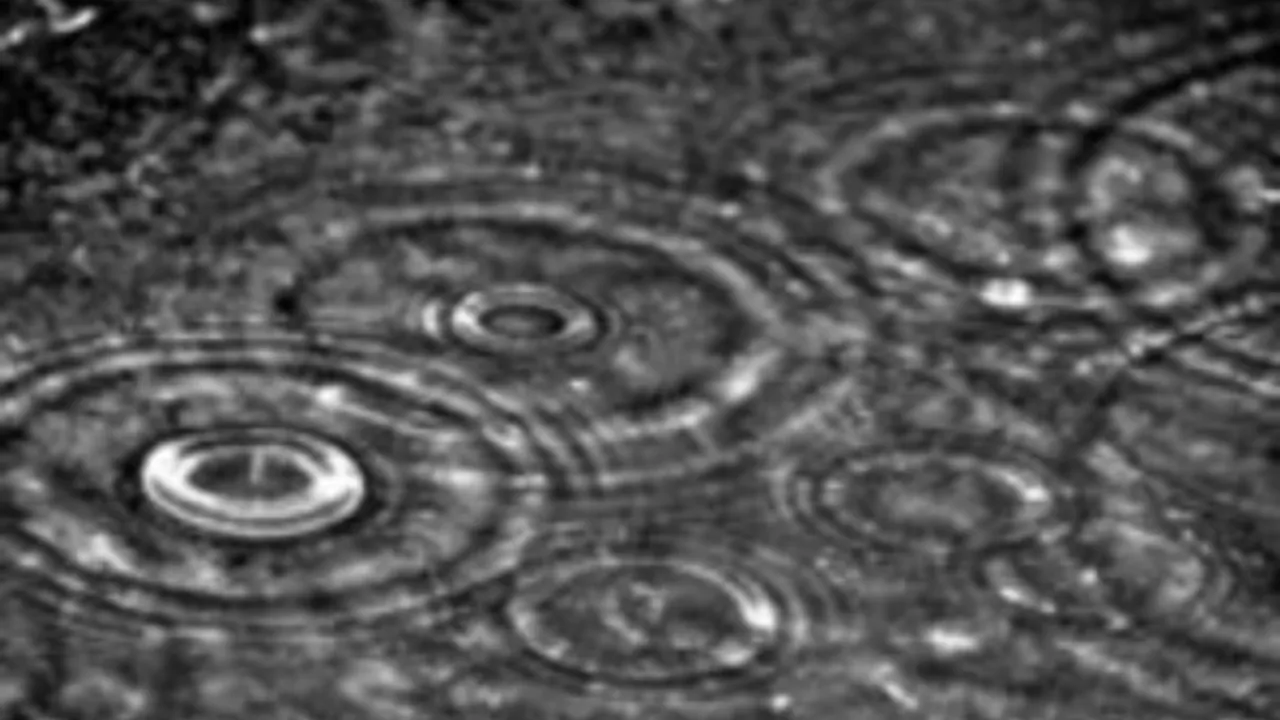 5368836-8010126
