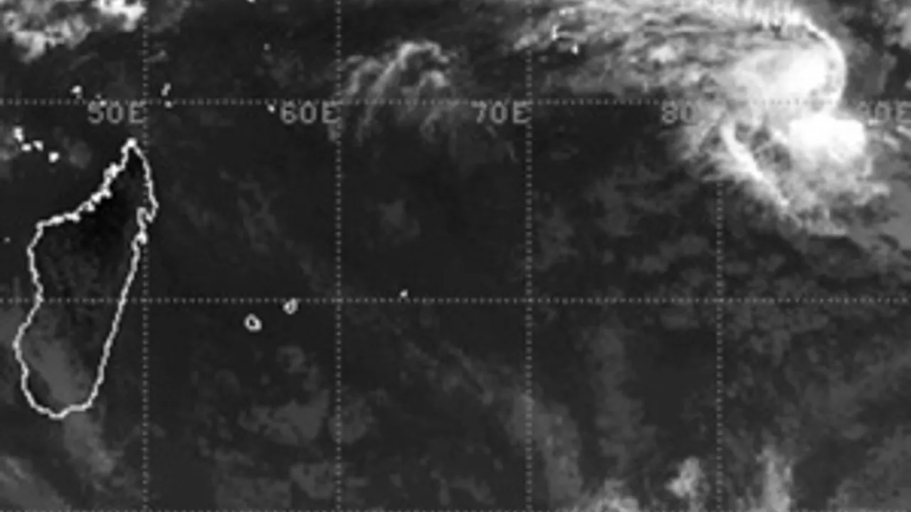 5499343-8203040