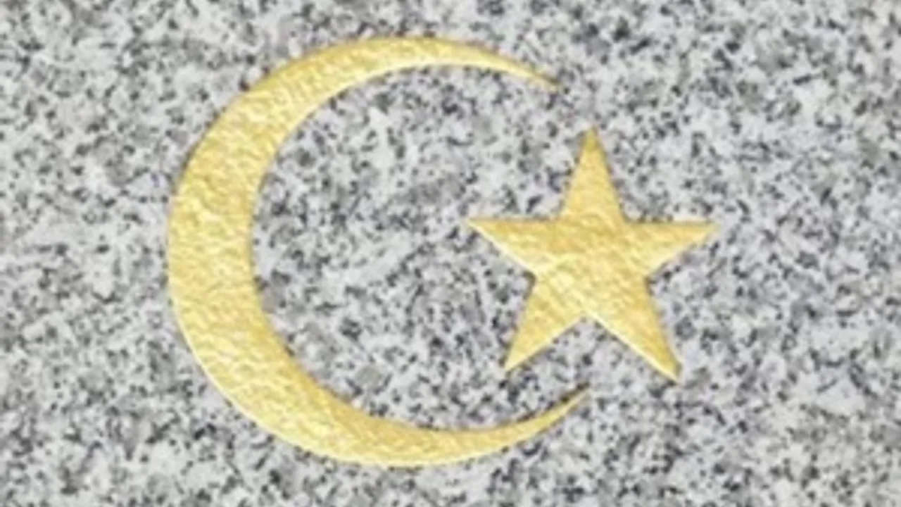 5693993-8491632