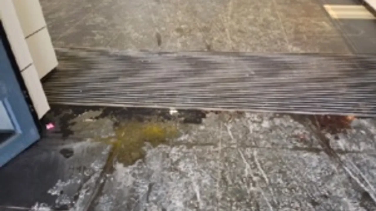 6085185-9082445