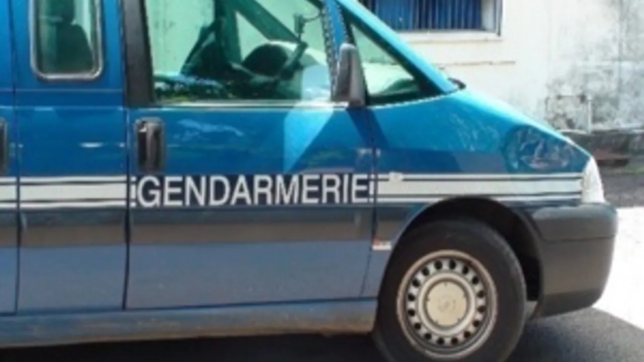 6141415-9173154