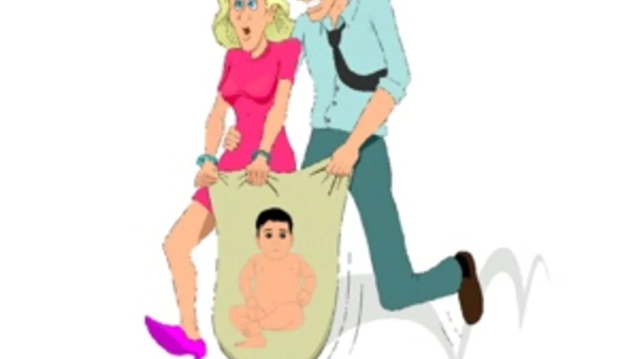 6377930-9619965