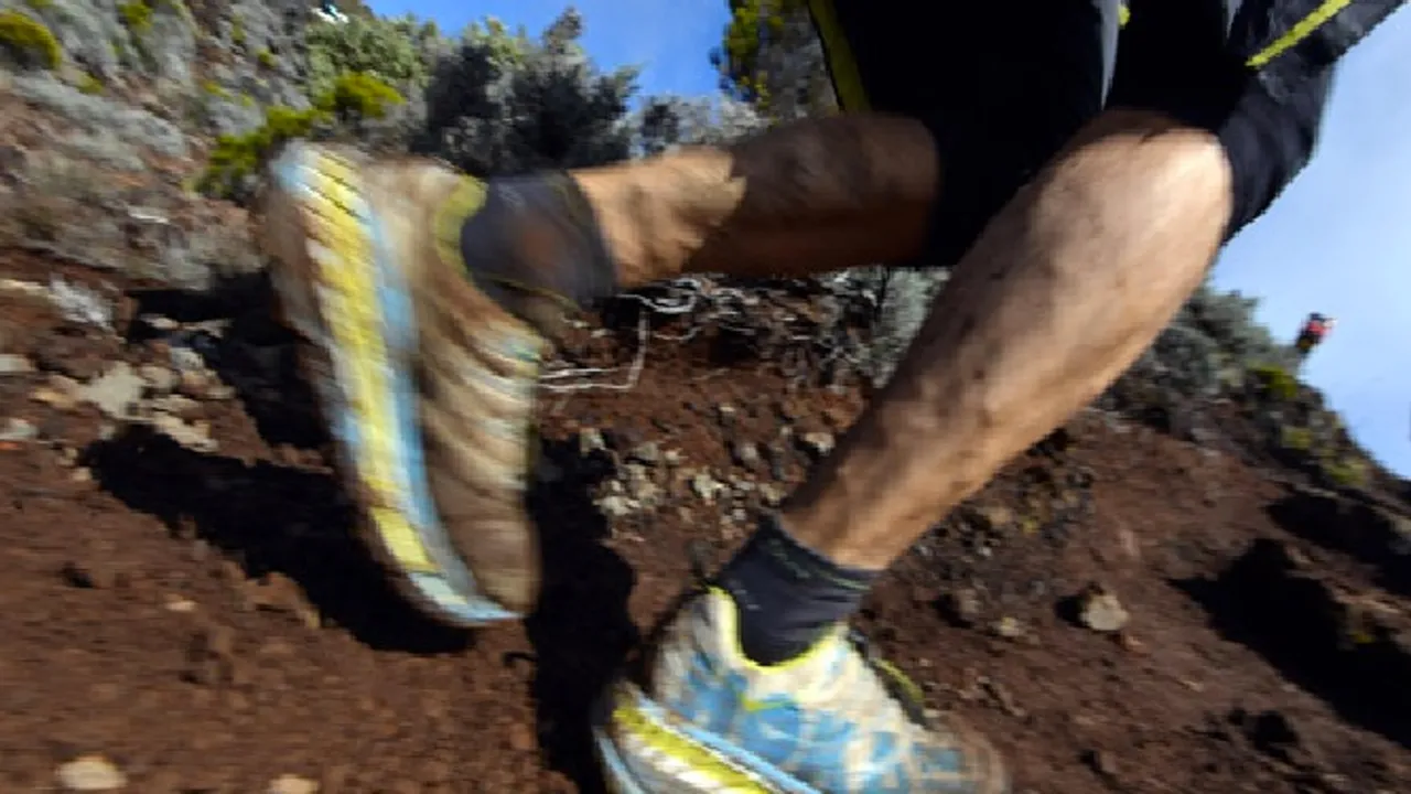7064883-10813850