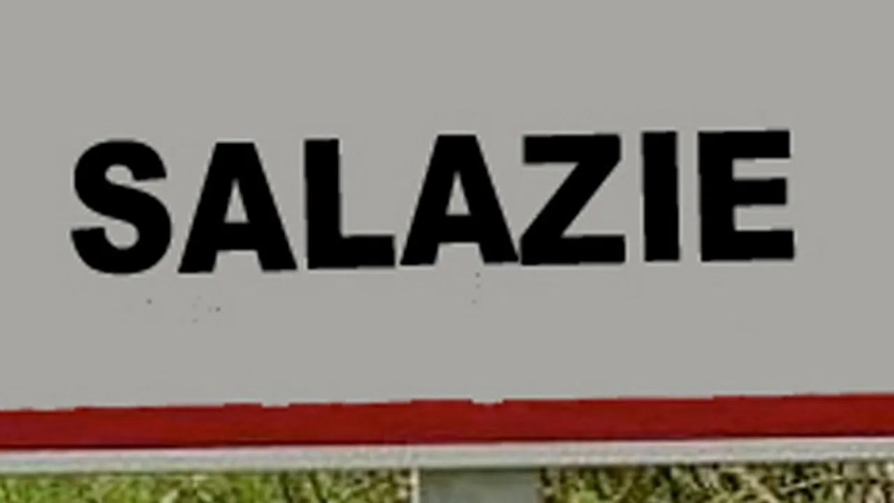 7347478-11309877