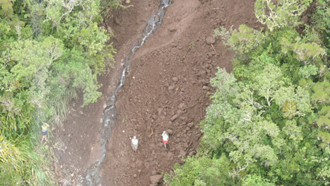 7454061-11489513
