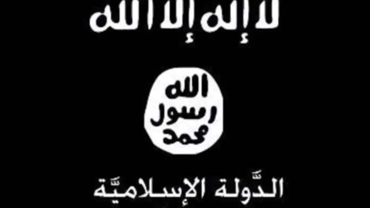 8524840-13412544
