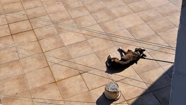 8696916-13732203