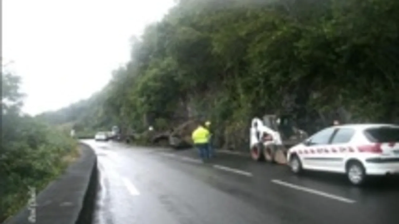 8732137-13792347