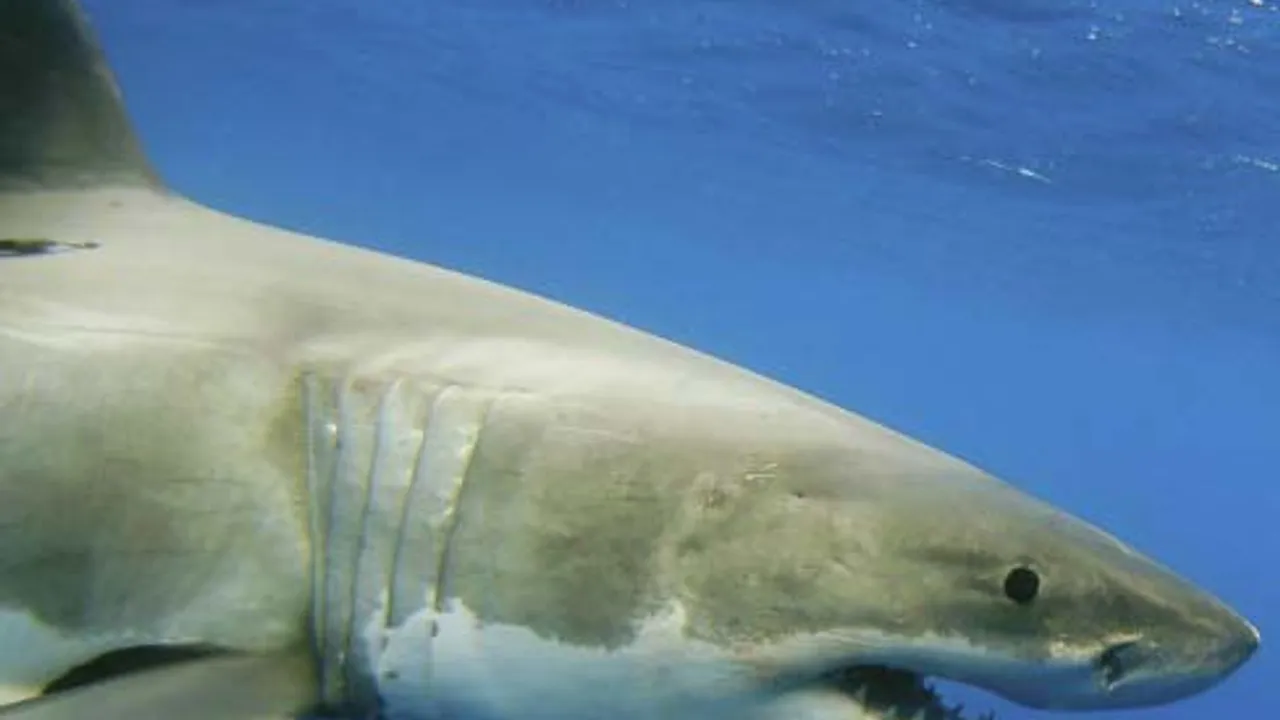 9026324-14336023
