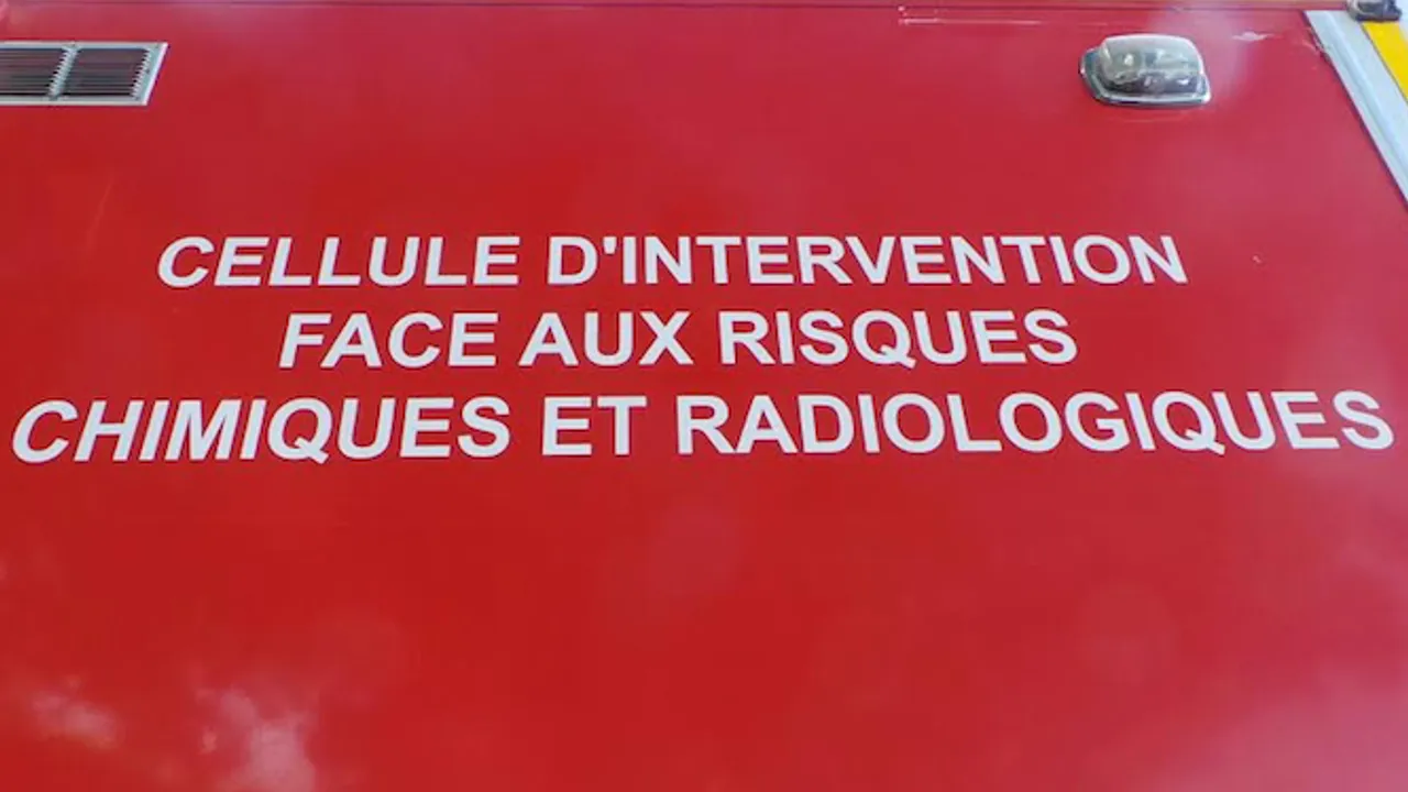 9081118-14440691