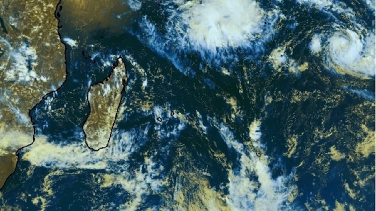 9143119-14559666