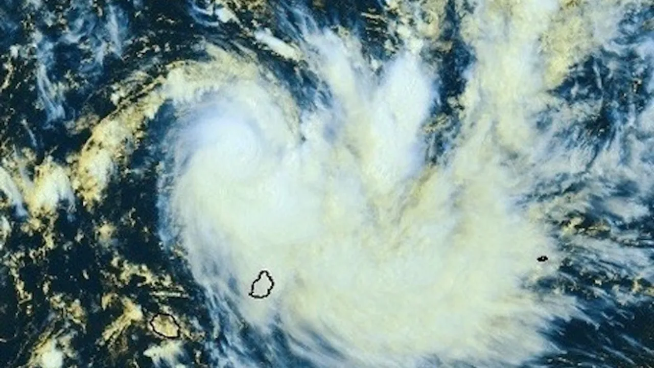 11112674-18441686