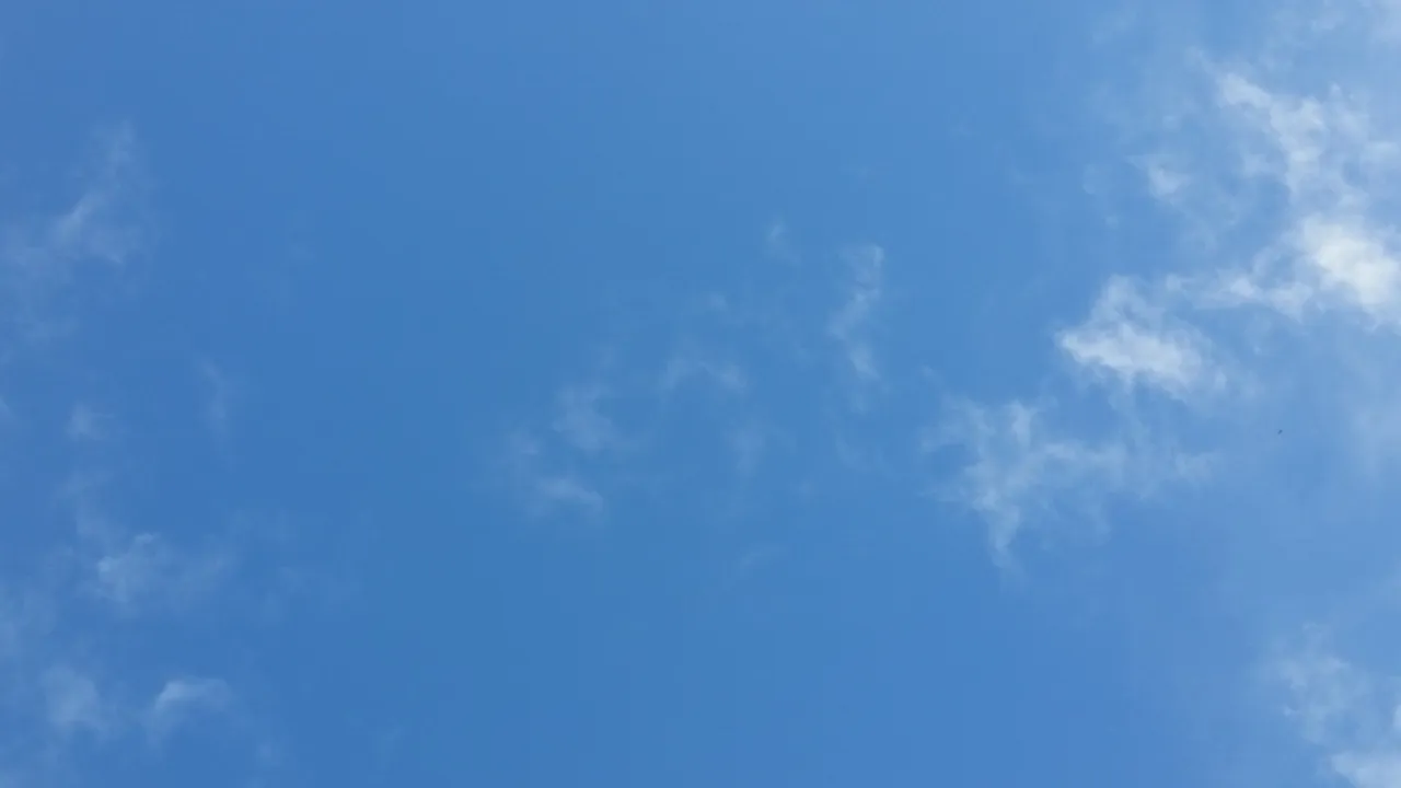12036707-19416270