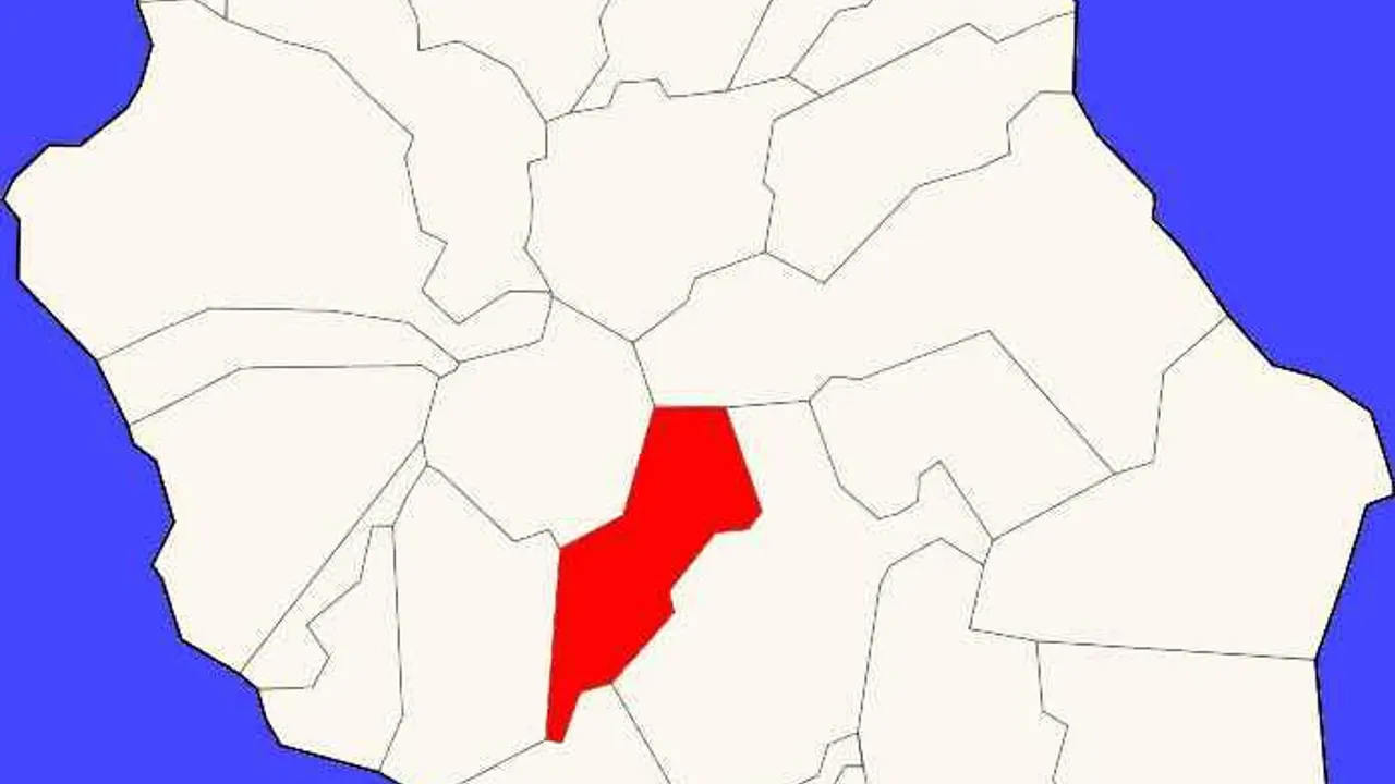 12448839-19539360