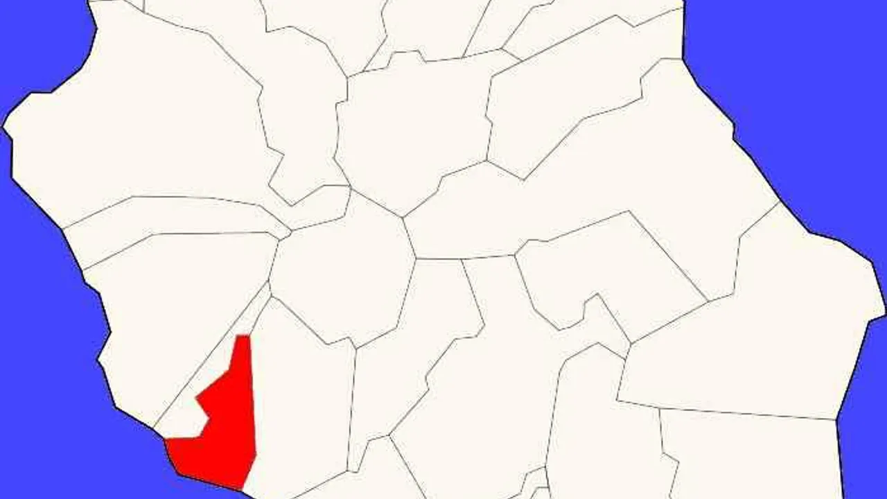 12449301-19539614