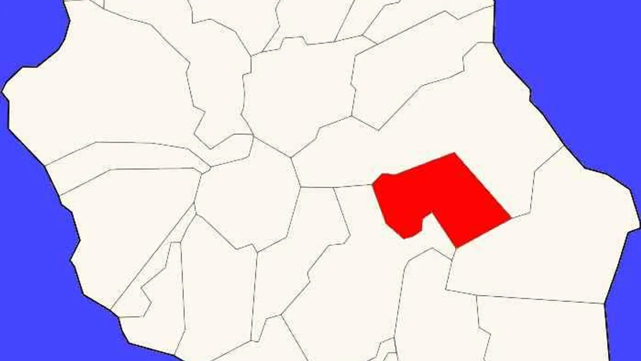12449341-19539627