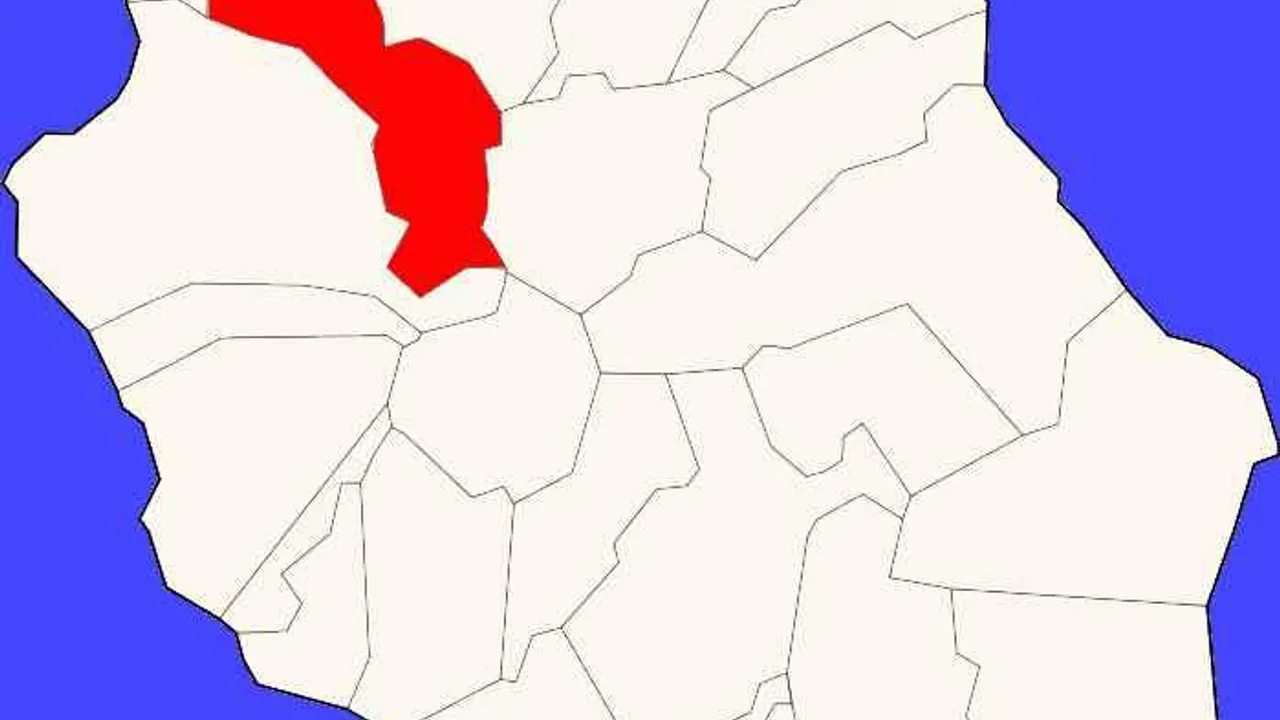 12449436-19539653
