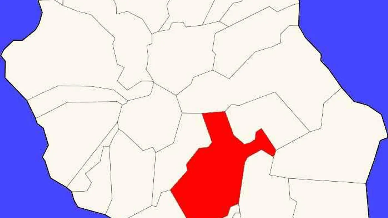 12450534-19540073