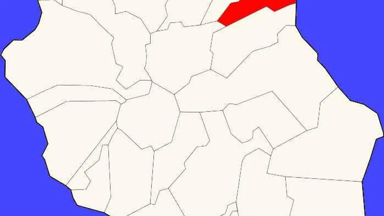 12450923-19540239