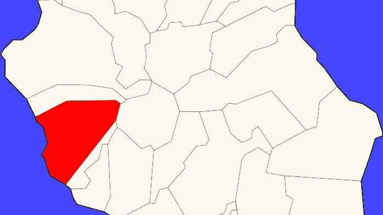 12451182-19540424