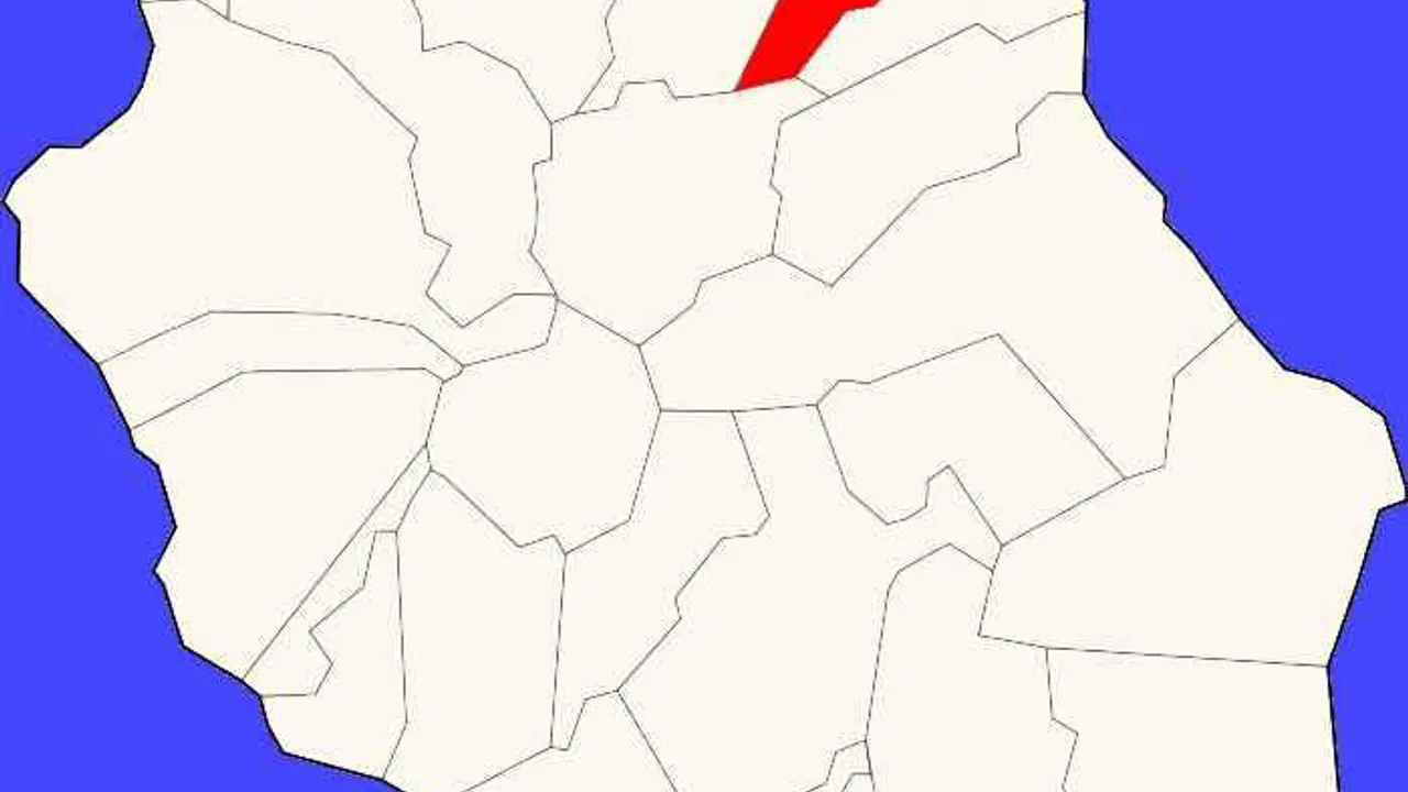 12451751-19540756